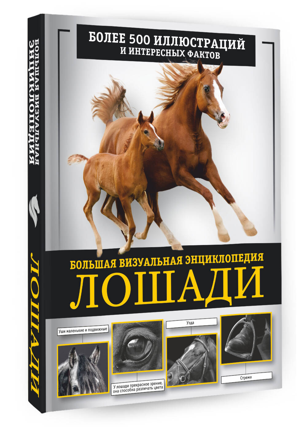 Книги АСТ Лошади большая визуальная энциклопедия - фото 2