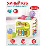 Развивающая игрушка Smart Baby Умный куб бизиборд JB0334079