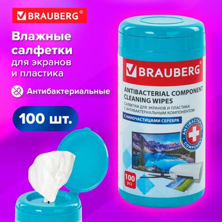 Салфетки антибактериальные Brauberg влажные чистящие для экранов и пластика 100 шт