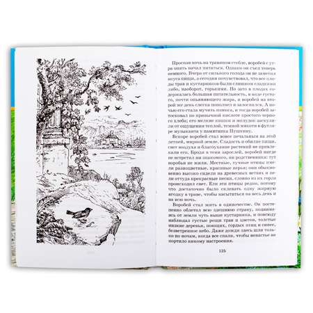 Книга Издательство Детская литератур Неизвестный цветок