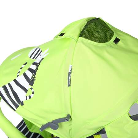Коляска прогулочная Babyton Zoo Green