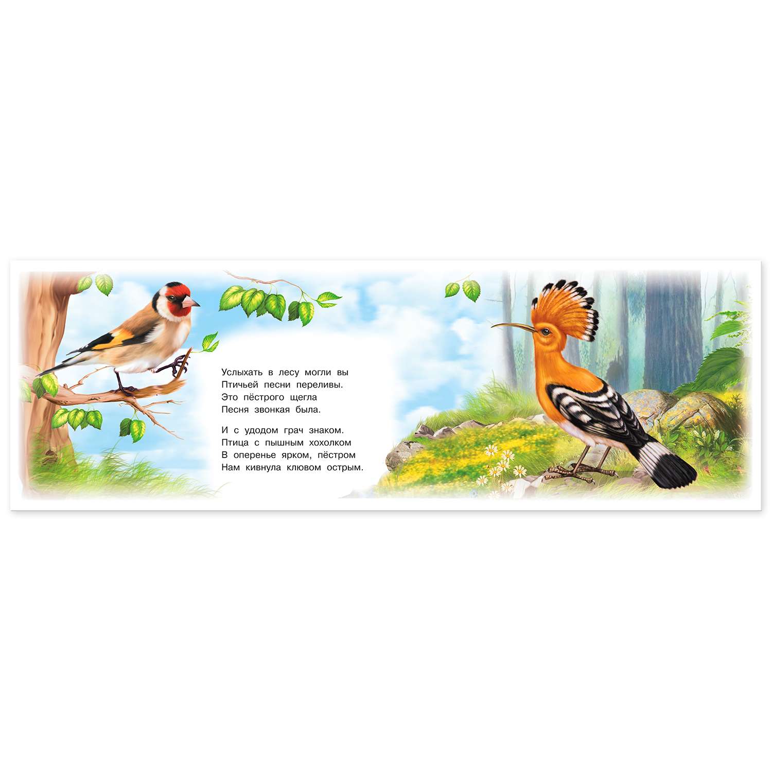 Набор книг Фламинго Развивающая и познавательная серия для малышей - Знакомимся с животными 6 шт - фото 9