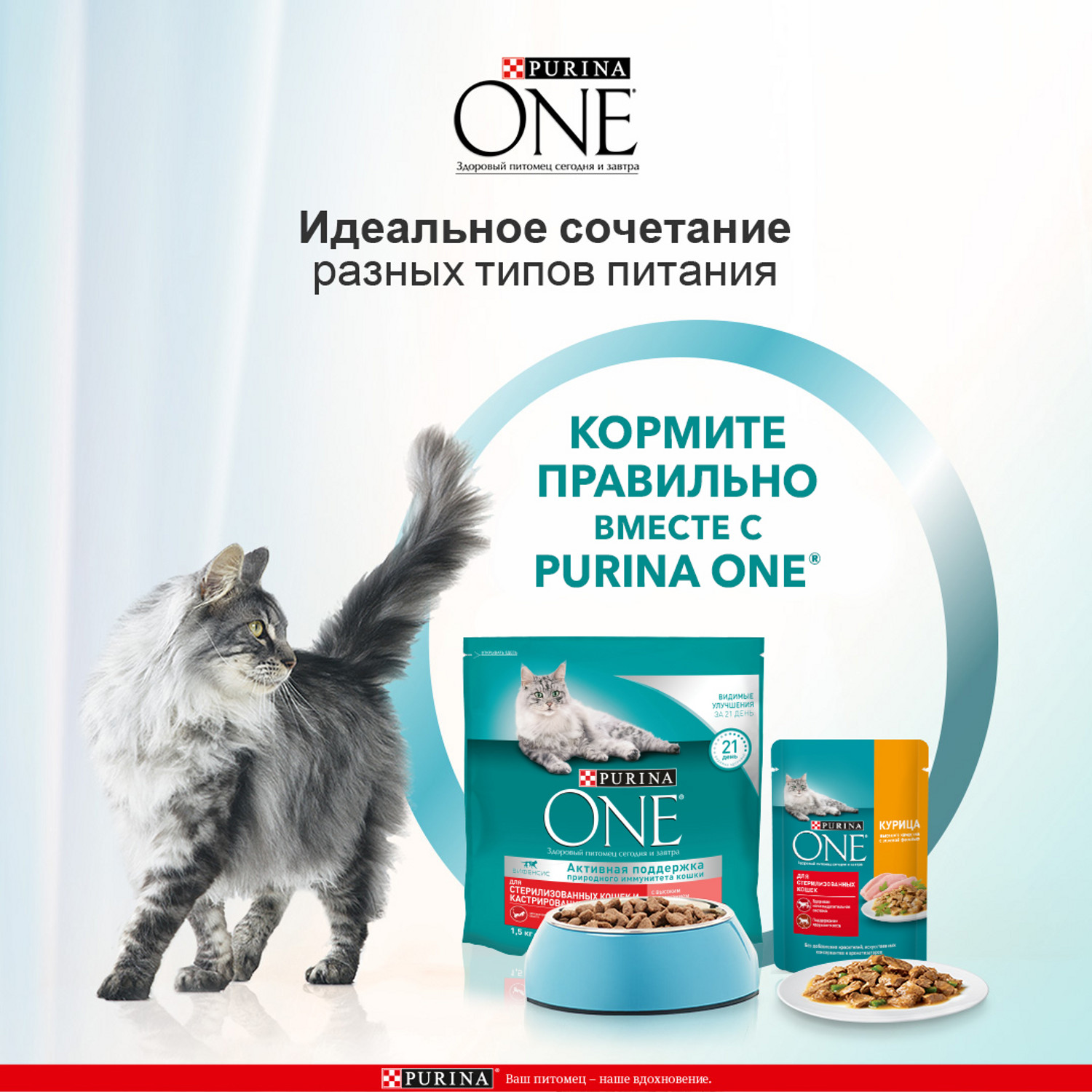 Корм для кошек Purina One при стерилизации и кастрации лосось-пшеница 750г - фото 5