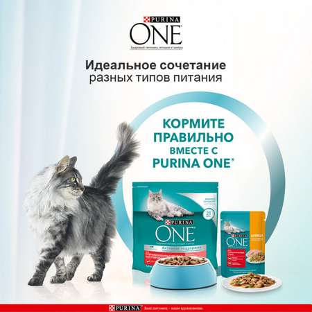 Корм для кошек Purina One при стерилизации и кастрации лосось-пшеница 750г