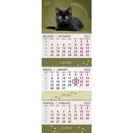 Календарь Арт и Дизайн Квартальный трехблочный премиум Кот 2024 года