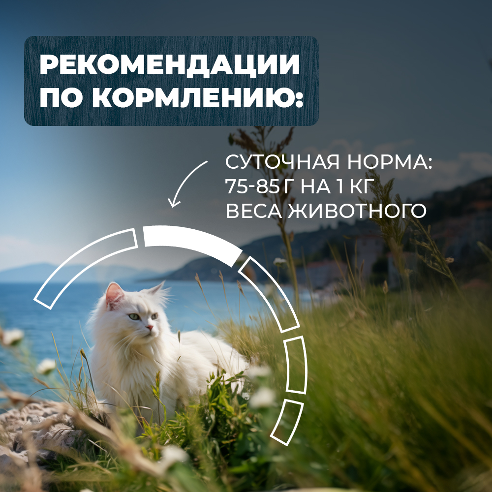 Корм для кошек Родные корма с чувствительным пищеварением По-крымски с ягненком кусочки в соусе 85г - фото 5