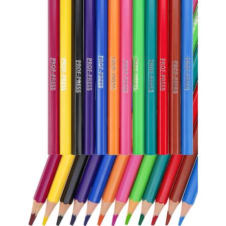 Карандаши цветные пастельные Prof Press пластик 12 цветов Паркур