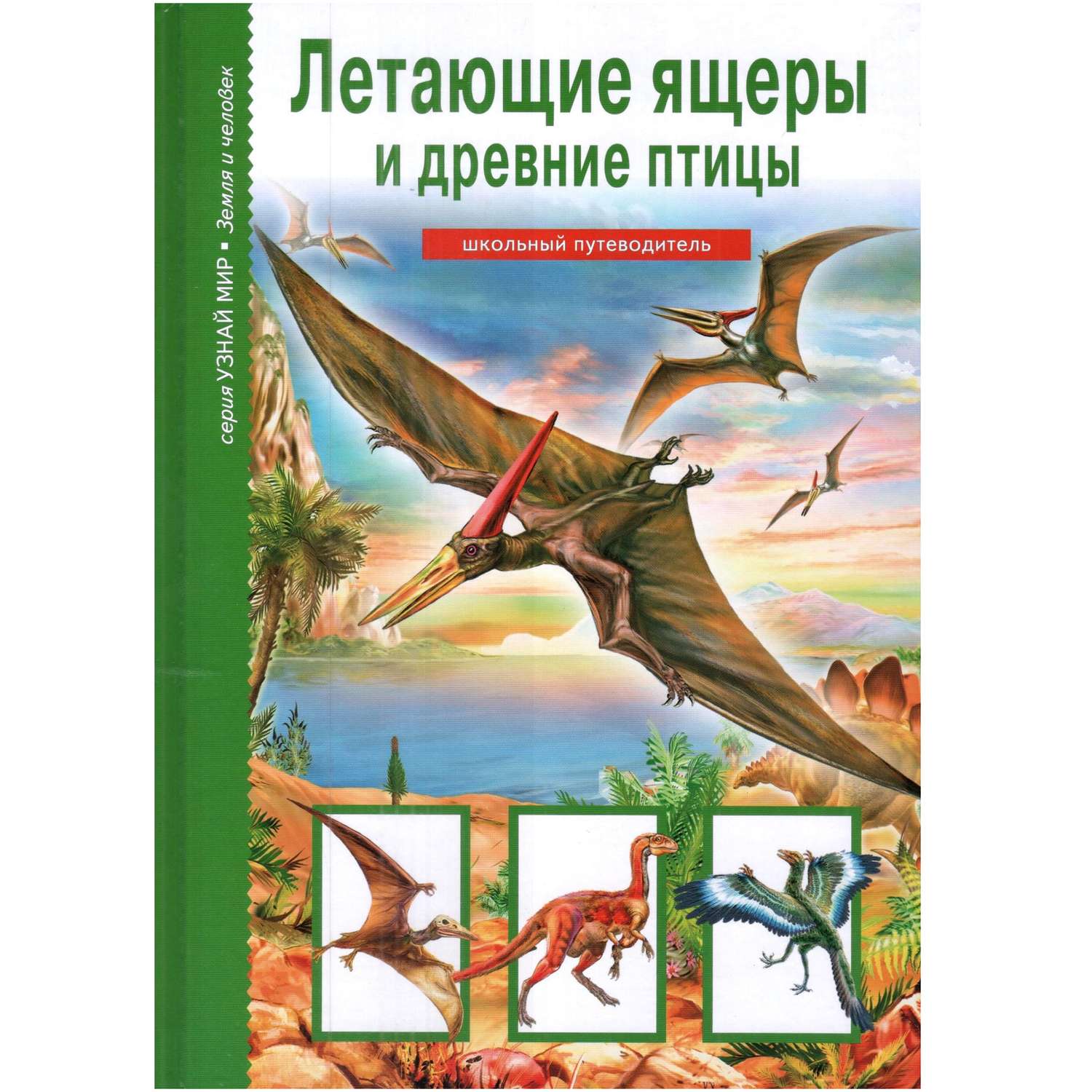 Книга Лада Летающие ящеры и древние птицы. Школьный путеводитель - фото 1