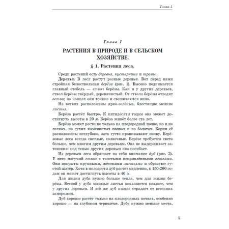 Книга Наше Завтра Ботаника. Учебник для 5-6 классов средней школы. 1957 год