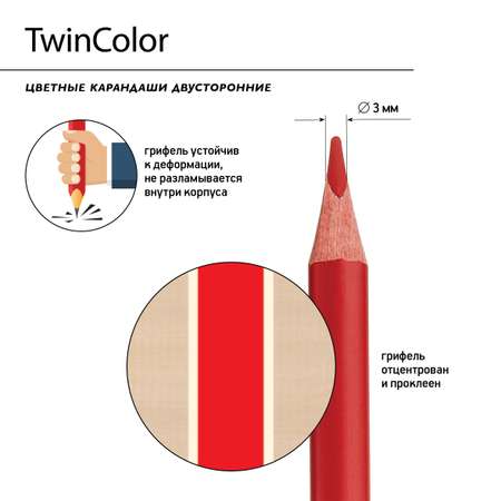 Карандаши цветные Bruno Visconti TwinColor 24 цвета 12 штук