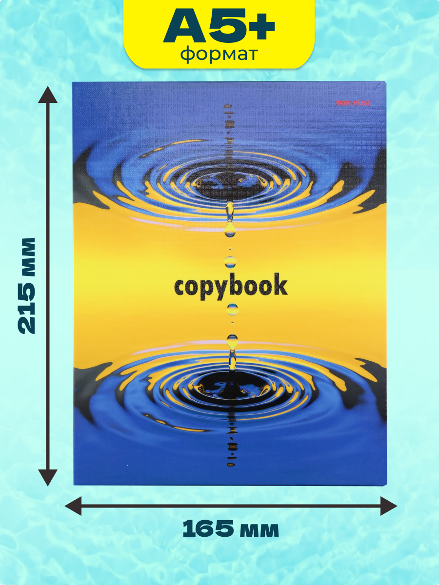 Тетрадь на кольцах Prof-Press Круги на воде клетка 80 листов на кольцах - фото 2
