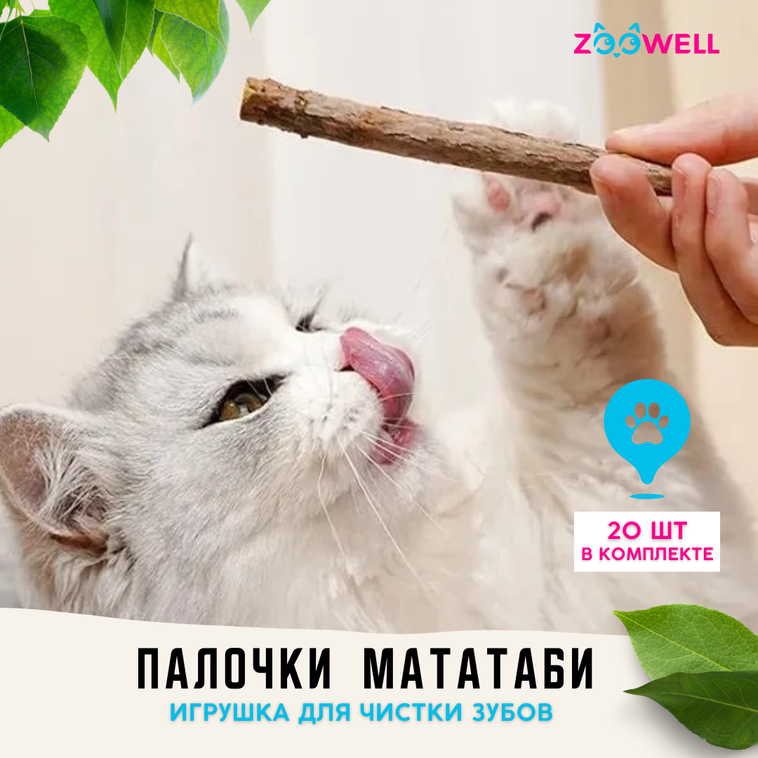 Игрушка для кошек ZDK ZooWell палочки Мататаби Actinidia polygama с  эффектом кошачьей мяты для чистки зубов 20шт купить по цене 385 ₽ с  доставкой в Москве и России, отзывы, фото