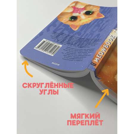 Блокнот Проф-Пресс карманный скетчбук А6 80 листов. MeowBook Нежный пончик