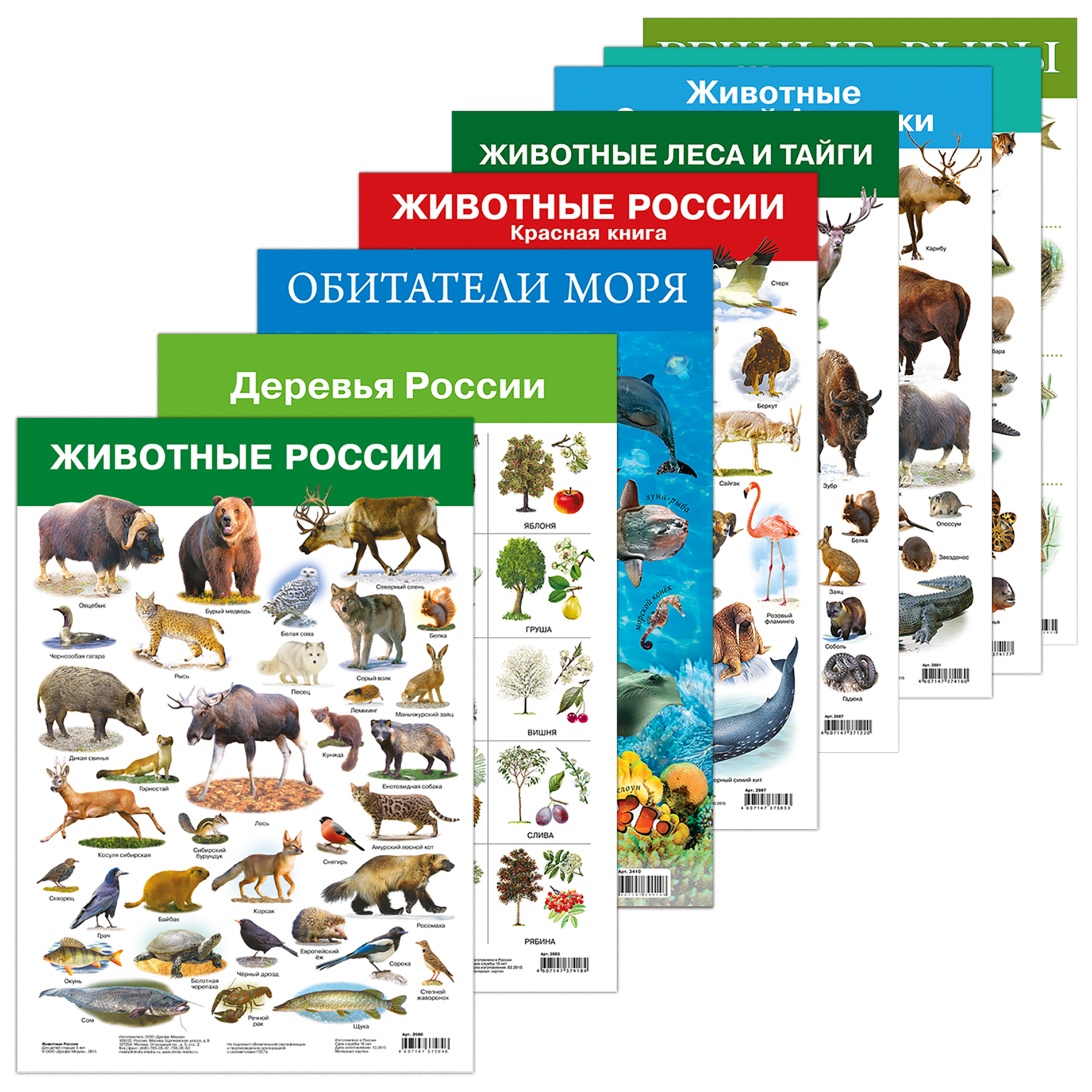 Набор обучающих плакатов Дрофа-Медиа Живая природа 8 видов 3964 - фото 1