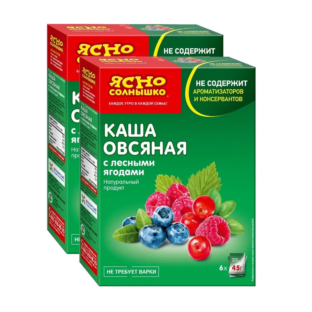 Каша овсяная Ясно Солнышко с лесными ягодами 2 упаковки по 270г - фото 1