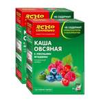 Каша овсяная Ясно Солнышко с лесными ягодами 2 упаковки по 270г