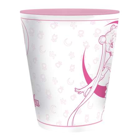 Кружка ABYStyle Sailor Moon Box x2 250 ml ABYMUG704