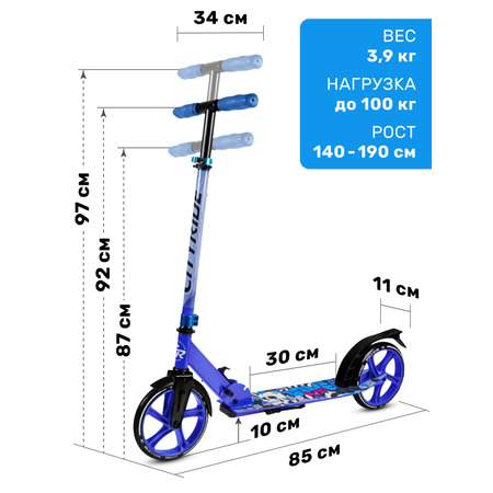 Самокат двухколесный складной CITYRIDE 200/200