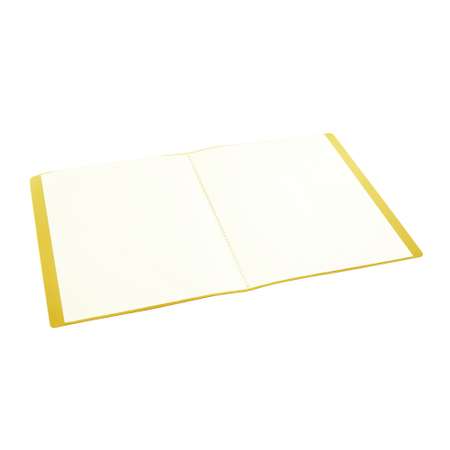 Папка с 10 файлами А4 Консул пластик 0.5 мм цвет желтый