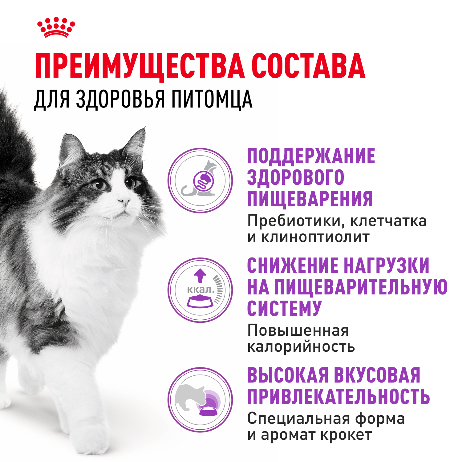 Корм сухой для кошек ROYAL CANIN Sensible 33 2кг с чувствительной пищеварительной системой - фото 6