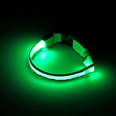 Ошейник Пижон с подсветкой и 2 светоотражающими полосами 45-50 см 3 режима свечения зелёный