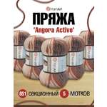 Пряжа YarnArt Angora Active тонкая полушерстяная 100 г 500 м 851 меланж 5 мотков