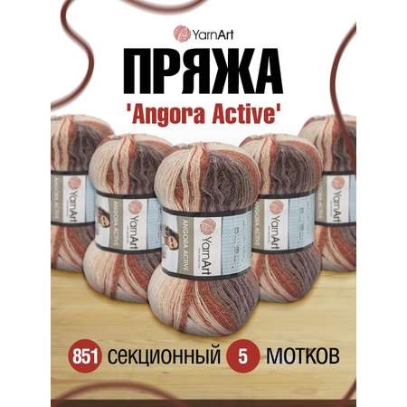 Пряжа YarnArt Angora Active тонкая полушерстяная 100 г 500 м 851 меланж 5 мотков