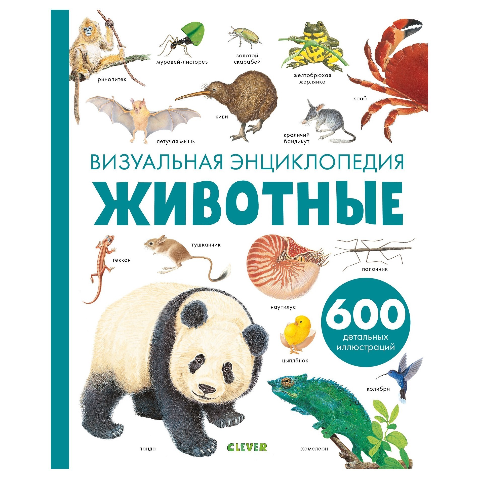 Книга Clever Любимая детская энциклопедия Животные Визуальная энциклопедия - фото 1