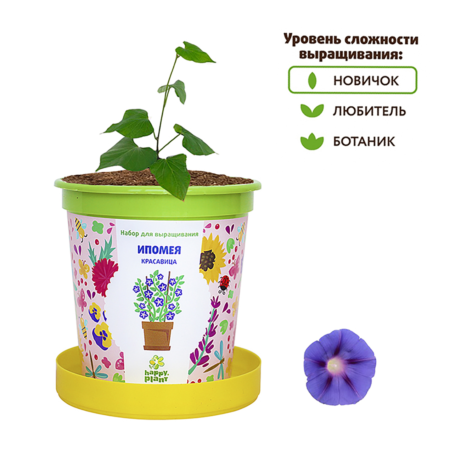 Набор для выращивания Happy Plant Вырасти сам растение в горшочке Ипомея красавица - фото 5