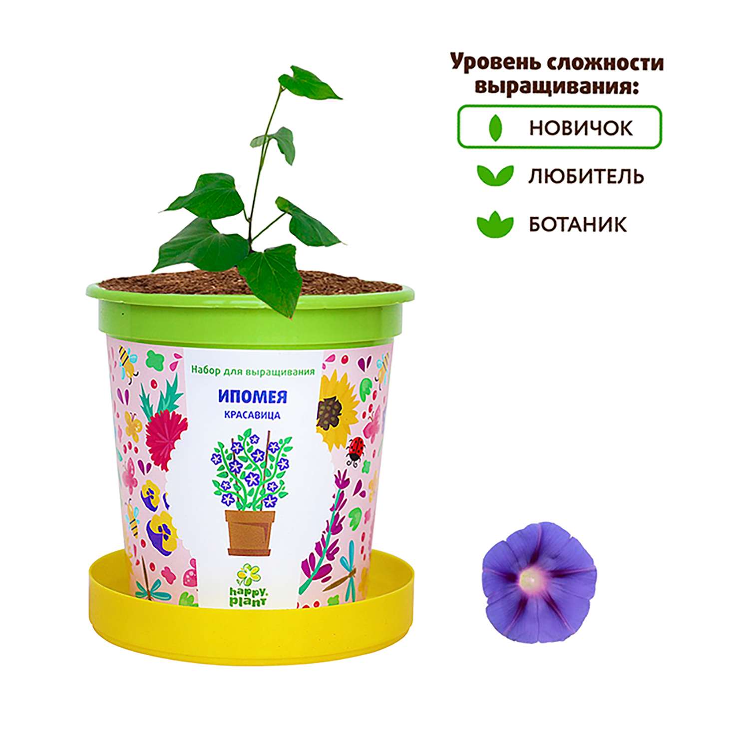 Набор для выращивания Happy Plant Вырасти сам растение в горшочке Ипомея красавица - фото 5