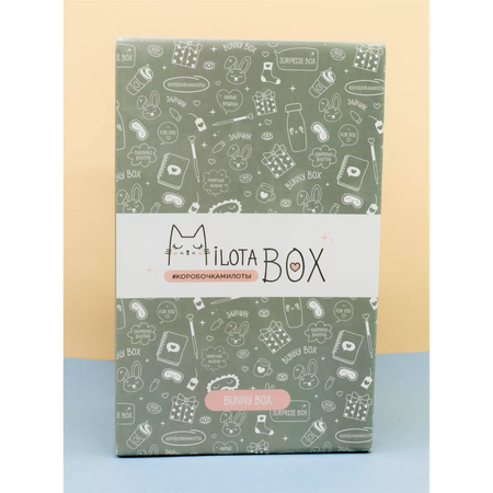 Подарочный бокс для девочки iLikeGift Milota Box mini зайчик