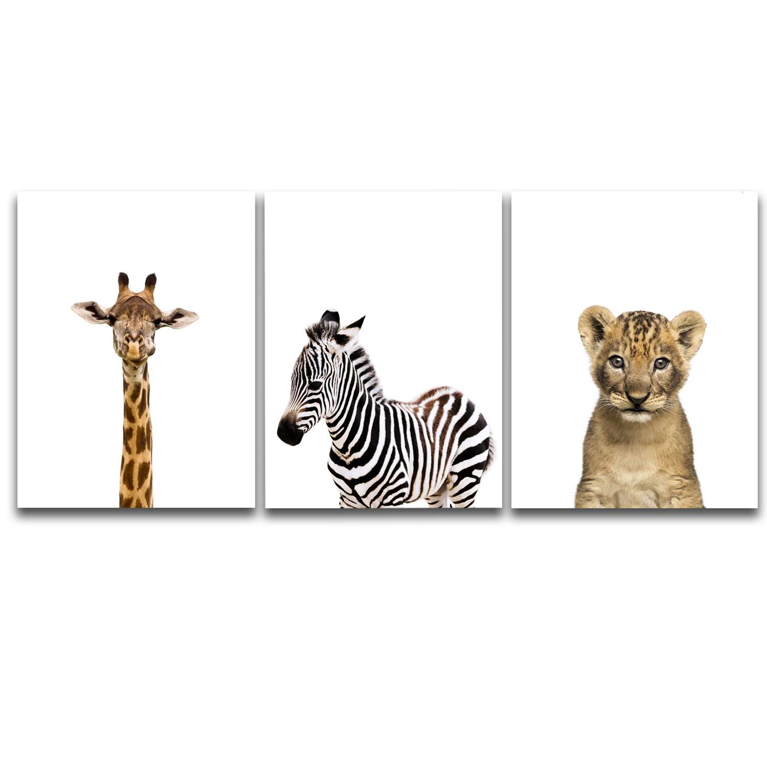 Комплект картин на холсте LOFTime Жираф зебра львенок 30*40 - фото 1