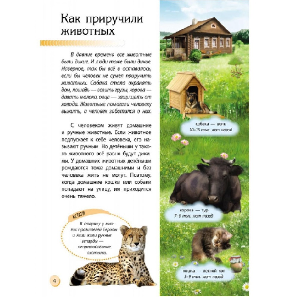 Книга РАНОК Животный мир