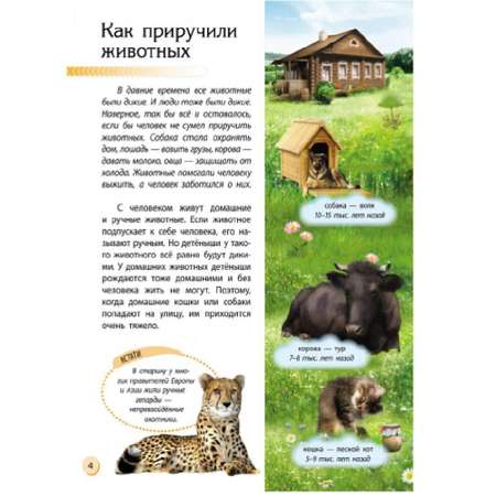 Книга РАНОК Животный мир