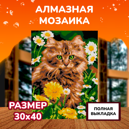 Алмазная мозаика на холсте LORI с полным заполнением Котик в одуванчиках 40х30 см