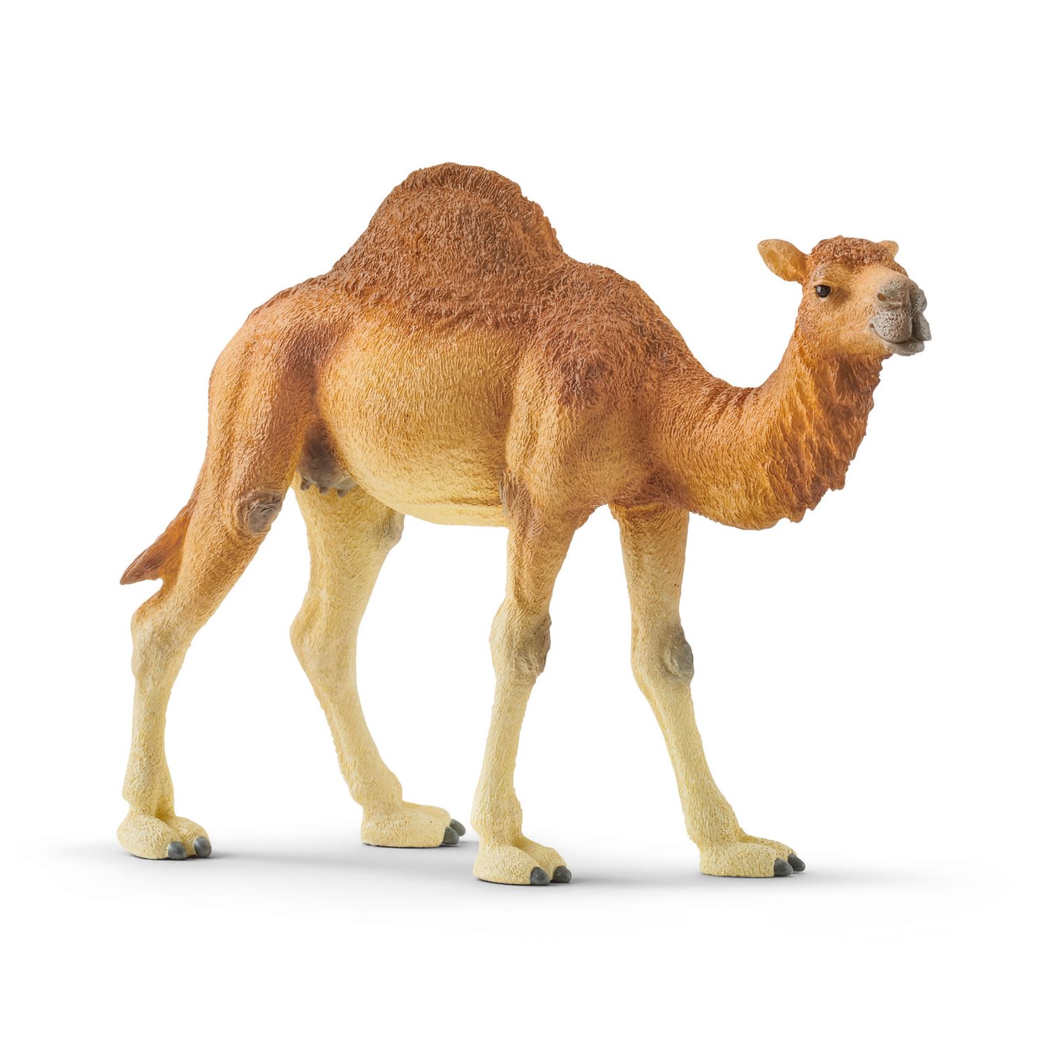 Фигурка SCHLEICH Одногорбый верблюд 14832