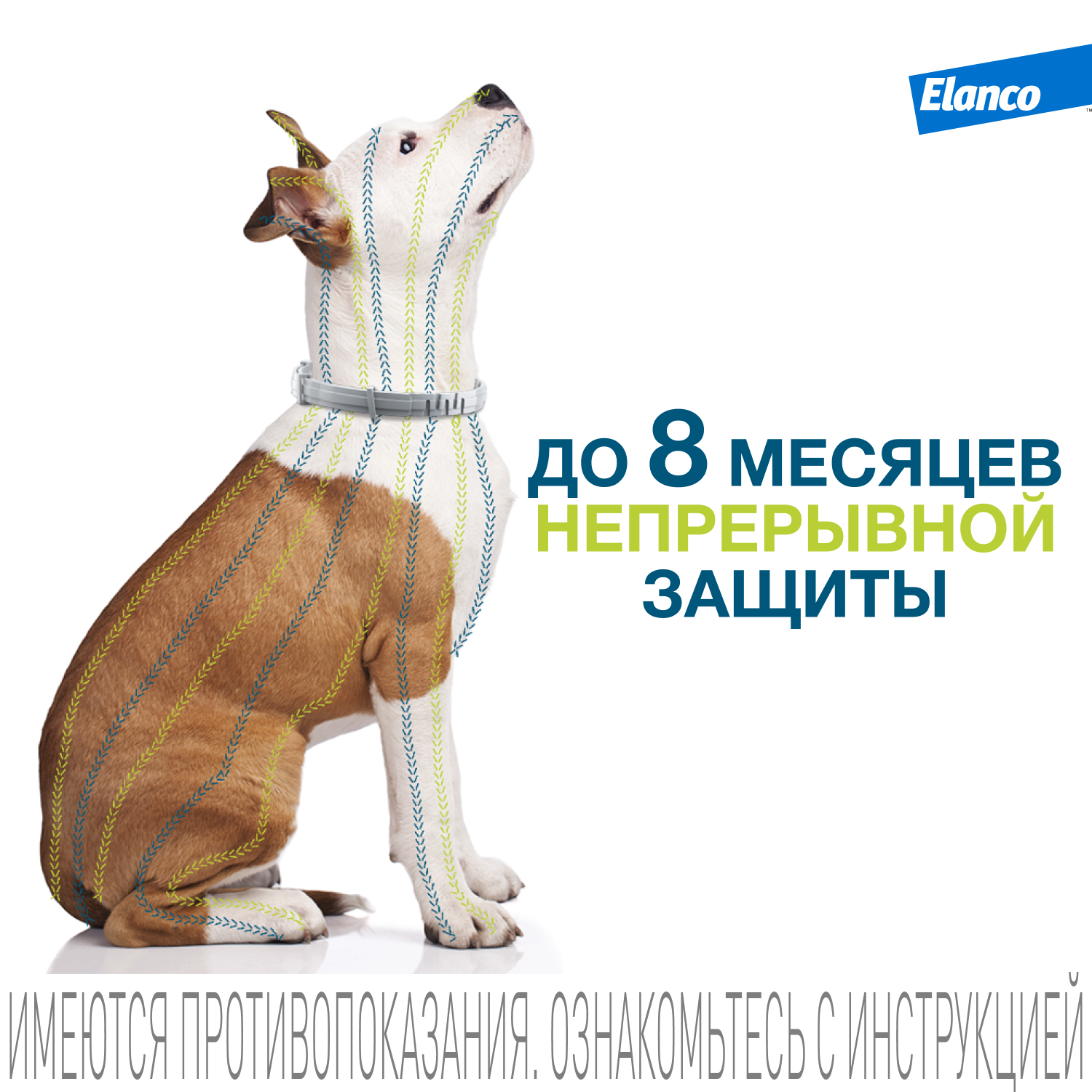 Ошейник для собак Elanco Foresto менее 8кг от блох и клещей защита 8месяцев 38см 65231 - фото 7