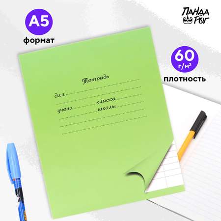 Тетради школьные в линейку ПАНДАРОГ широкую 24 л набор 10 шт картонная обложка зеленые