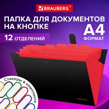 Папка-органайзер Brauberg для документов А4 на кнопке канцелярская 12 отделений