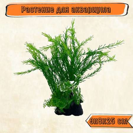 Аквариумное растение Rabizy 9х8х25 см