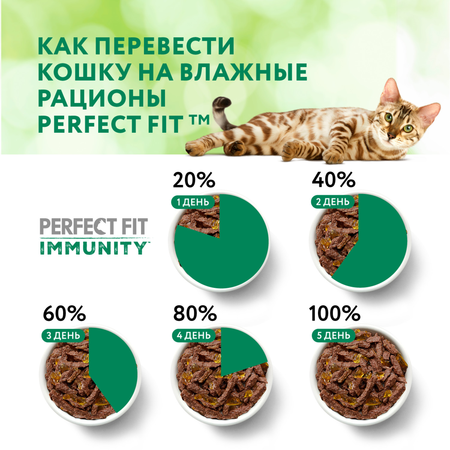 Влажный корм для кошек PerfectFit 0.075 кг говядина (для домашних, полнорационный) - фото 11