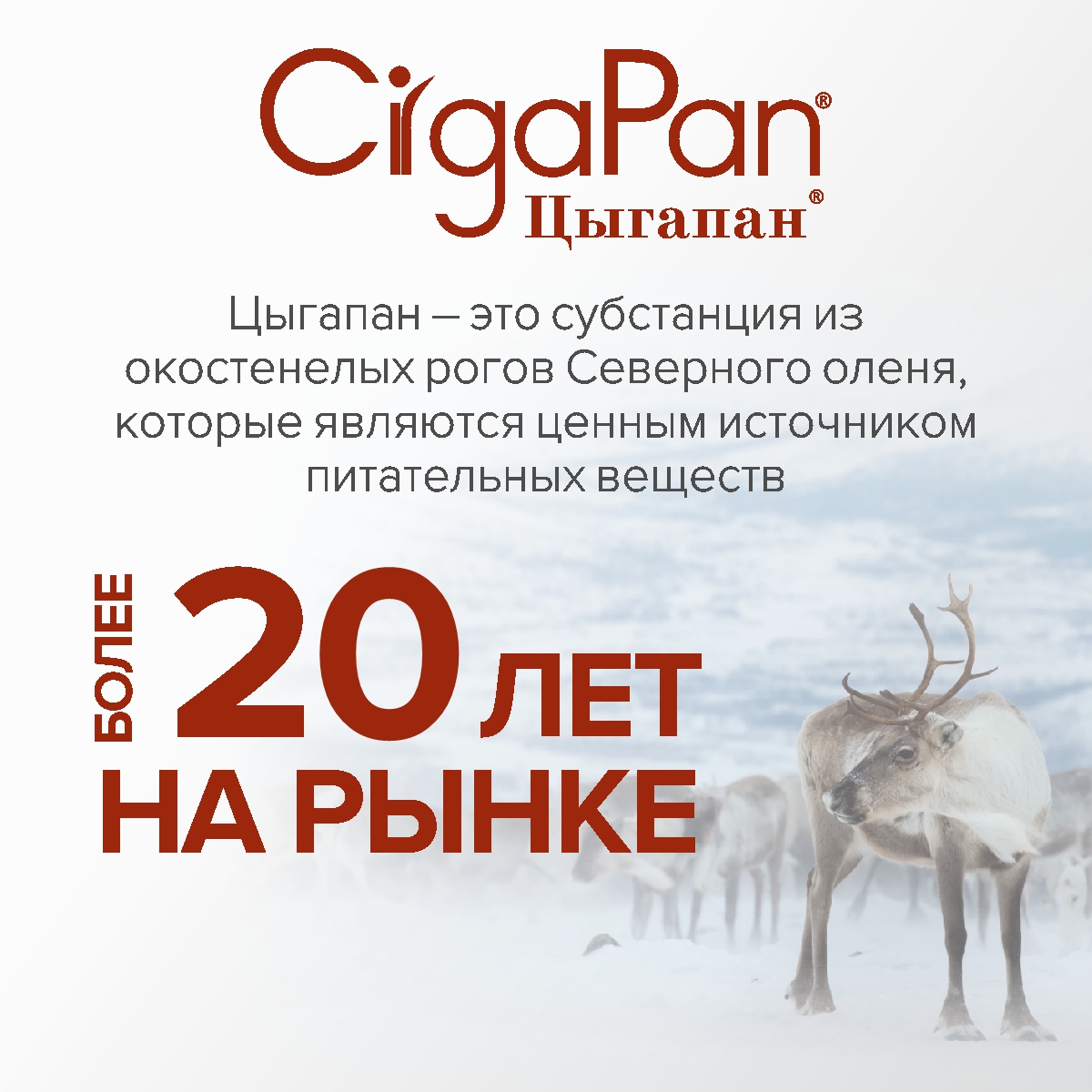 Цыгапан витамины CigaPan Цыгапан 120 капсул 400 мг - фото 7