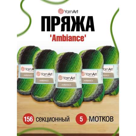 Пряжа YarnArt Ambiance полушерстяная 100 г 250 м 156 секционный 5 мотков