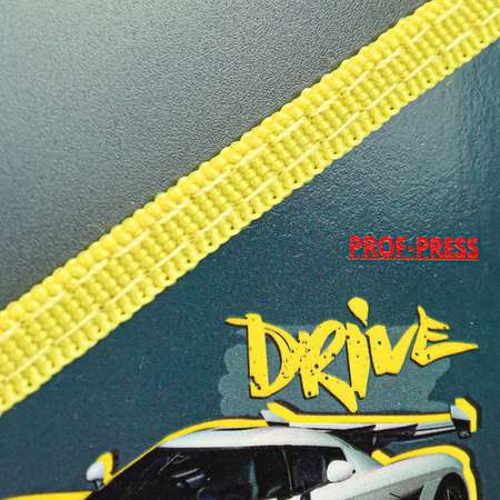 Папка для труда Prof-Press
