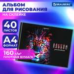 Альбом для рисования Brauberg в школу А4 40 плотных листов 160 г м2