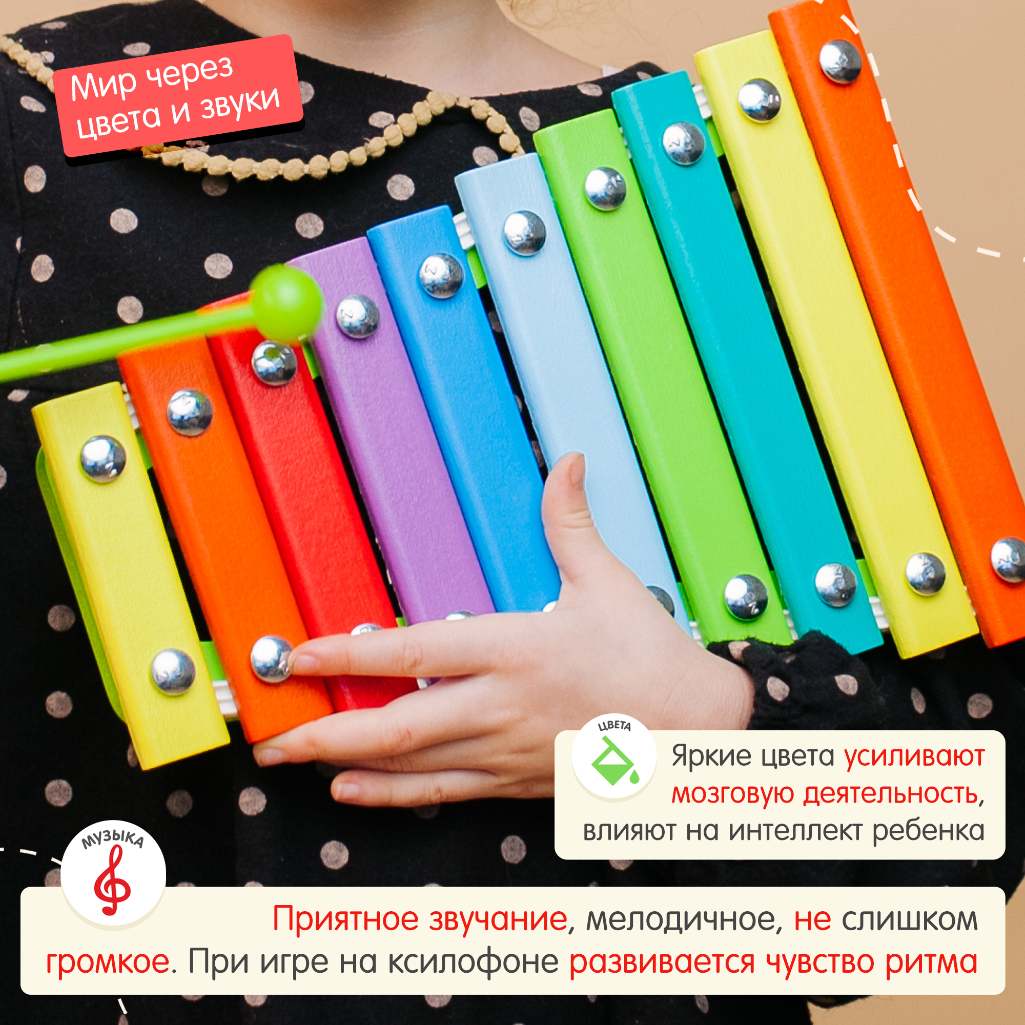 Ксилофон цветные ступеньки Алатойс 10 планок + гайд с играми - фото 5