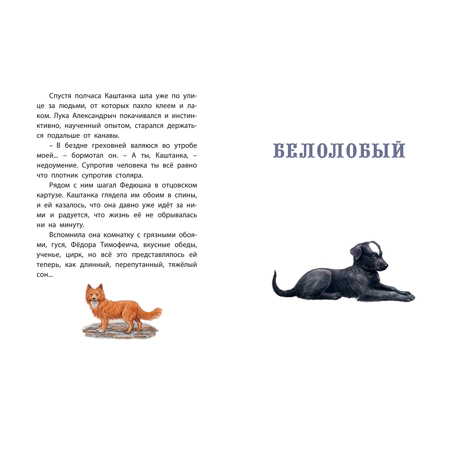 Книга ЭНАС-книга Каштанка. Белолобый - фото 4