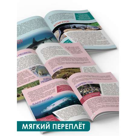 Книга Проф-Пресс Лучшая детская энциклопедия 96 стр мягкая обложка Животный мир от А до Я