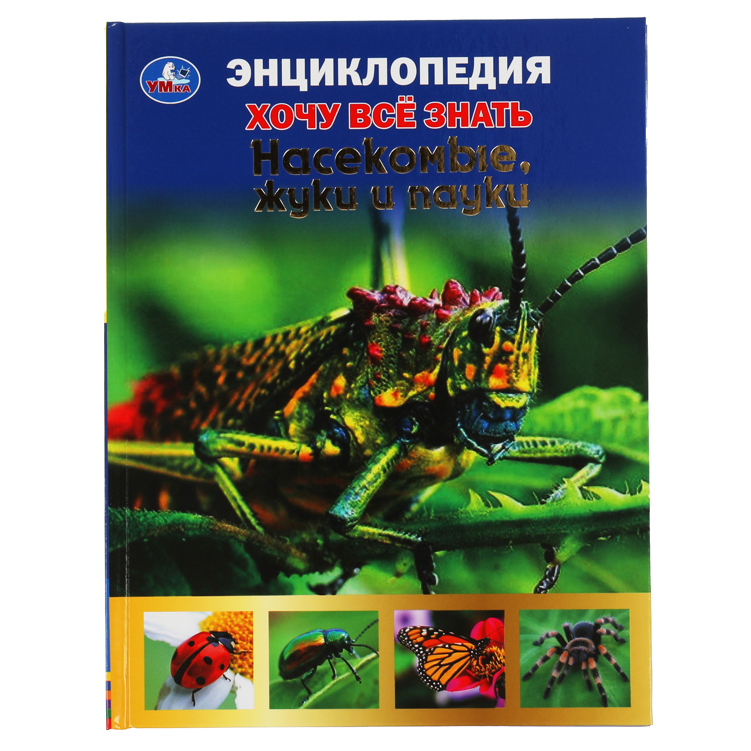 Книга УМка Насекомые жуки и пауки. Хочу все знать. Энциклопедия А5 - фото 1