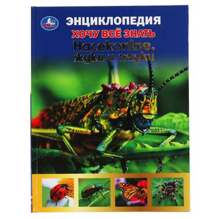 Книга УМка Насекомые жуки и пауки. Хочу все знать. Энциклопедия А5